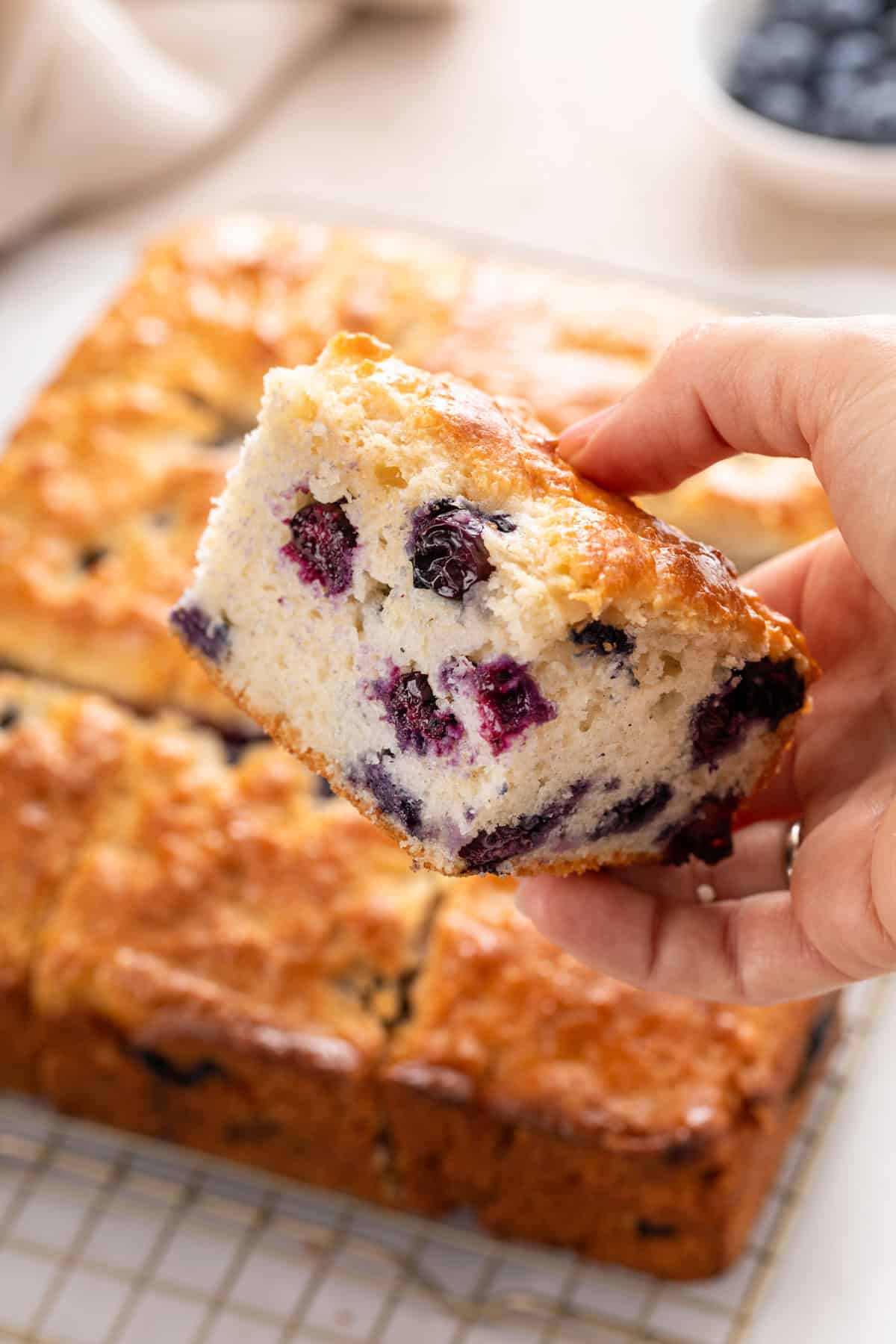 Hand holding up a blueberry biscuit to the camera.